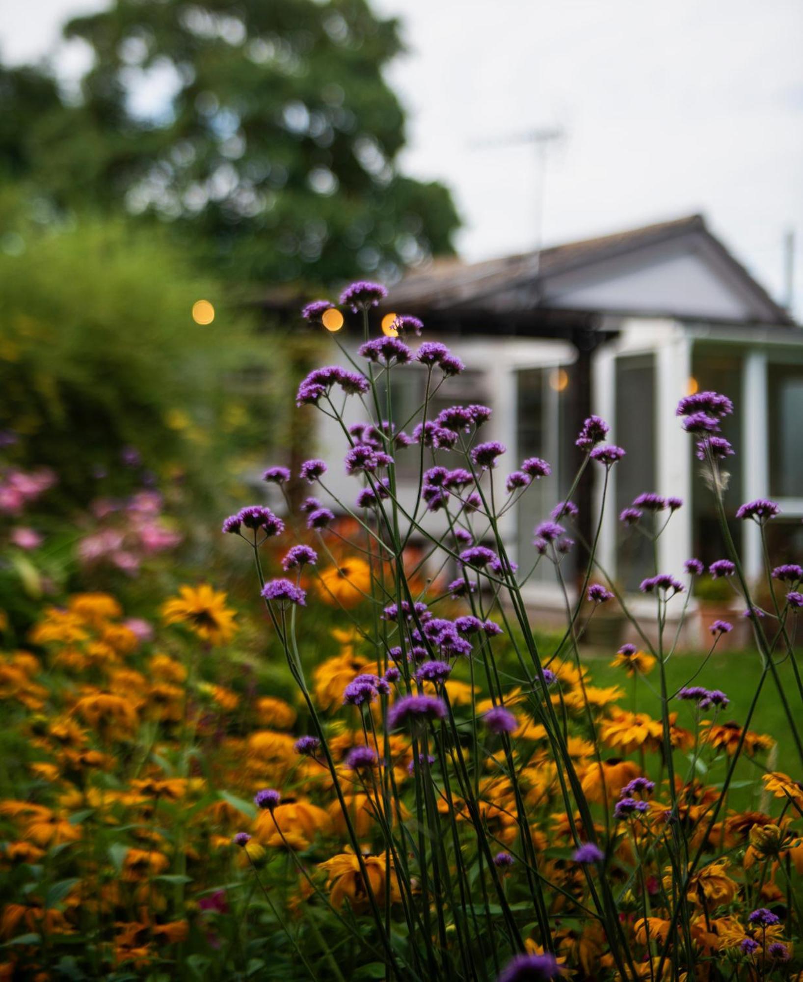 Peaceful, Country Setting In Suffolk, Near Coast Villa Halesworth Bagian luar foto